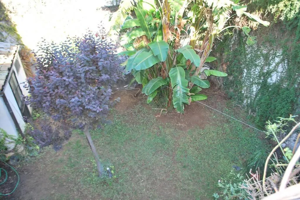 Casa Immersa Nel Verde Al Centro Di Palermo Italien