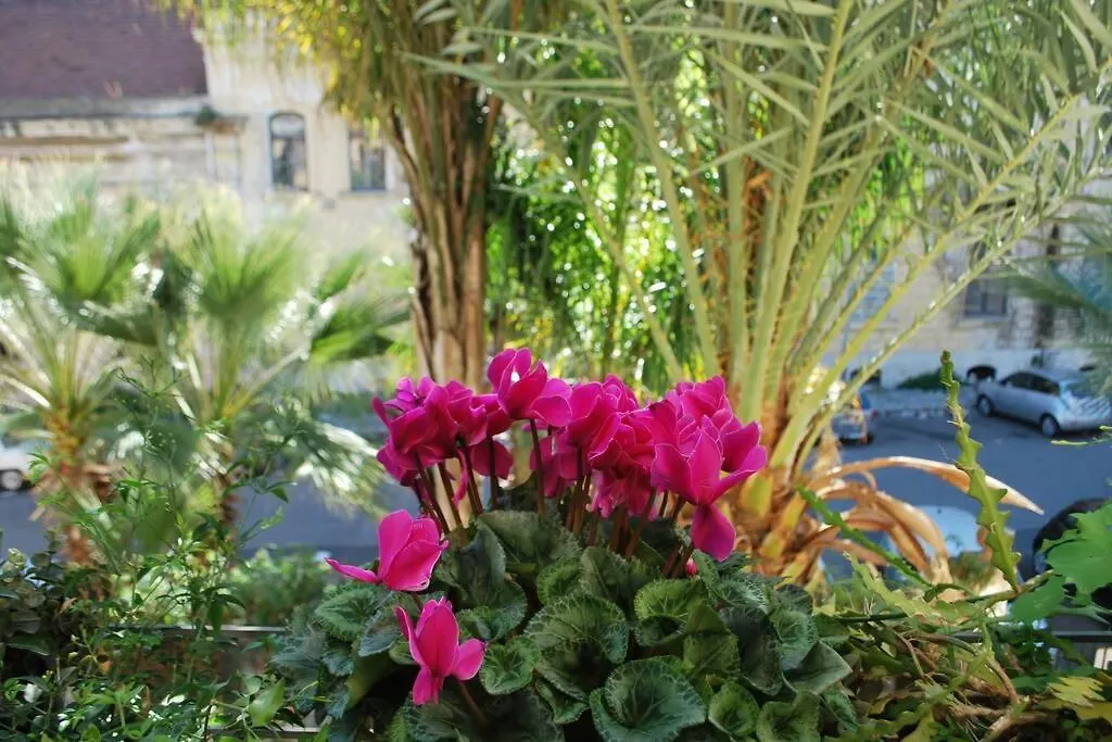 Casa Immersa Nel Verde Al Centro Di Palermo 0*,  Italy
