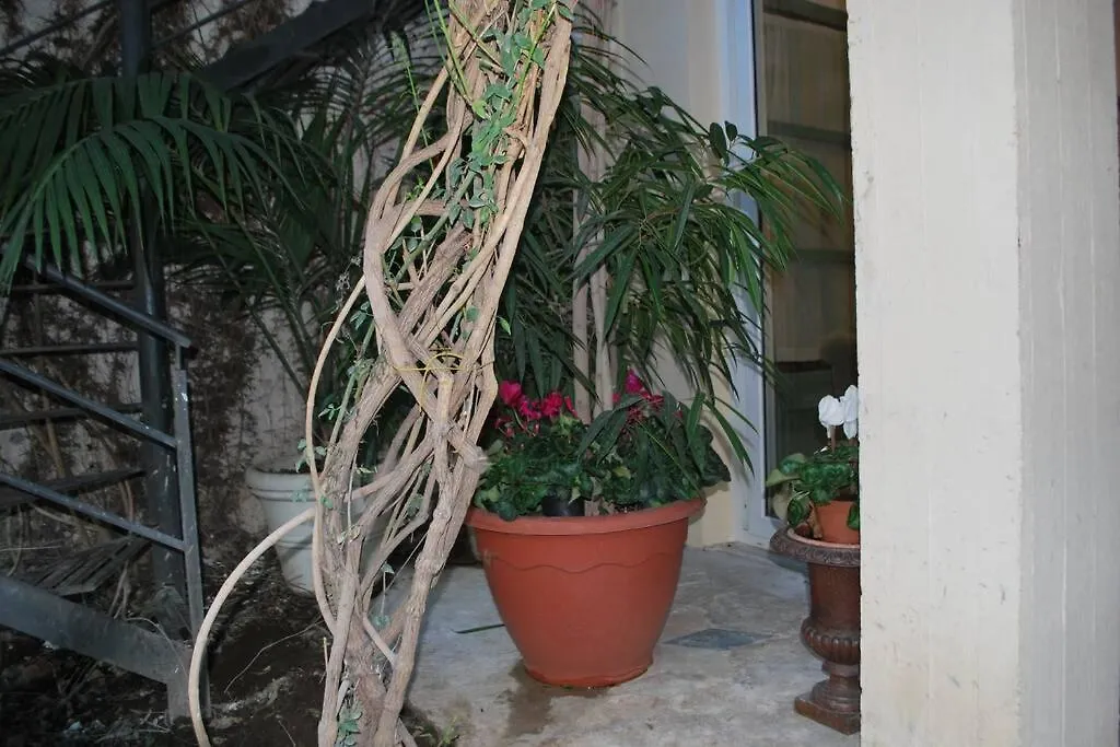 Casa Immersa Nel Verde Al Centro Di Palermo